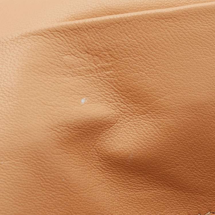 Pre Owned Chloe Metallic Beige Leather Medium Elsie Chain Flap Shoulder Bag
