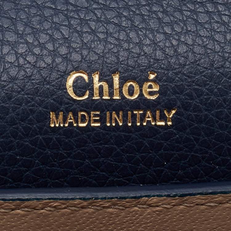 Pre Owned Chloe Multicolor Leather Clare Mini Crossbody Bag