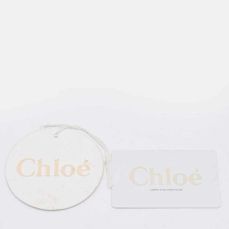 Pre Owned Chloe Black Leather and Suede Medium Faye Backpack