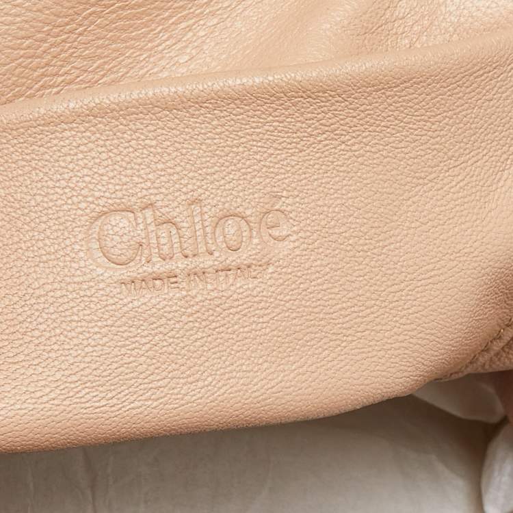 Pre Owned Chloe Teal Python Frame Chain Bag