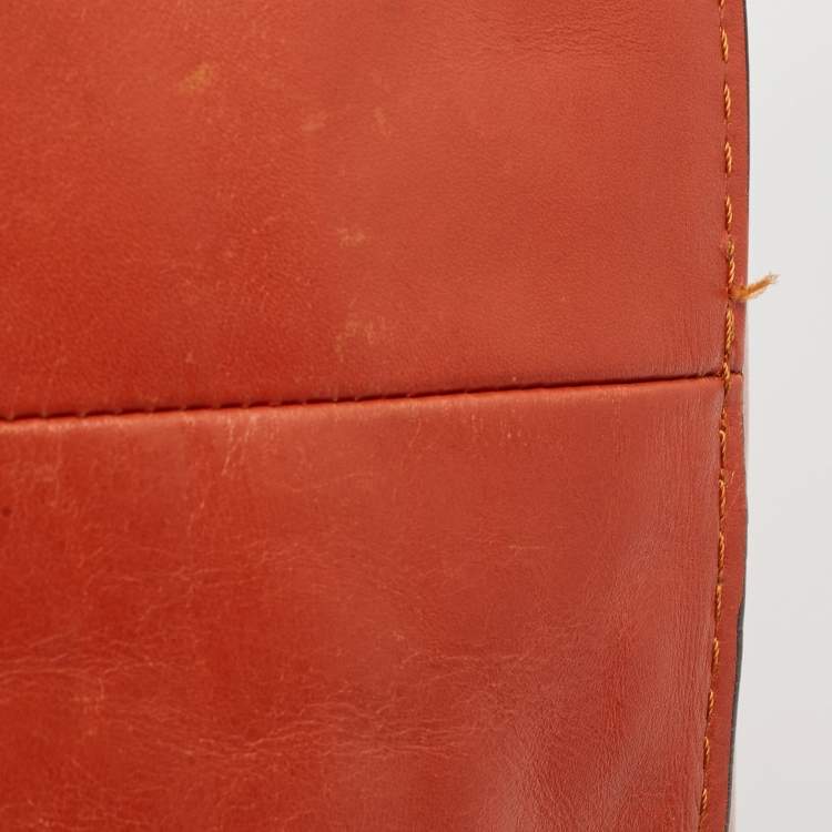 Pre Owned Chloe Tan/Beige Python And Leather Marcie Shoulder Bag