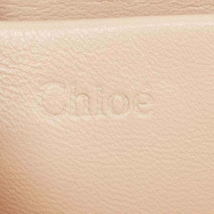 Pre Owned Chloé Brown Python Small Elsie Shoulder Bag