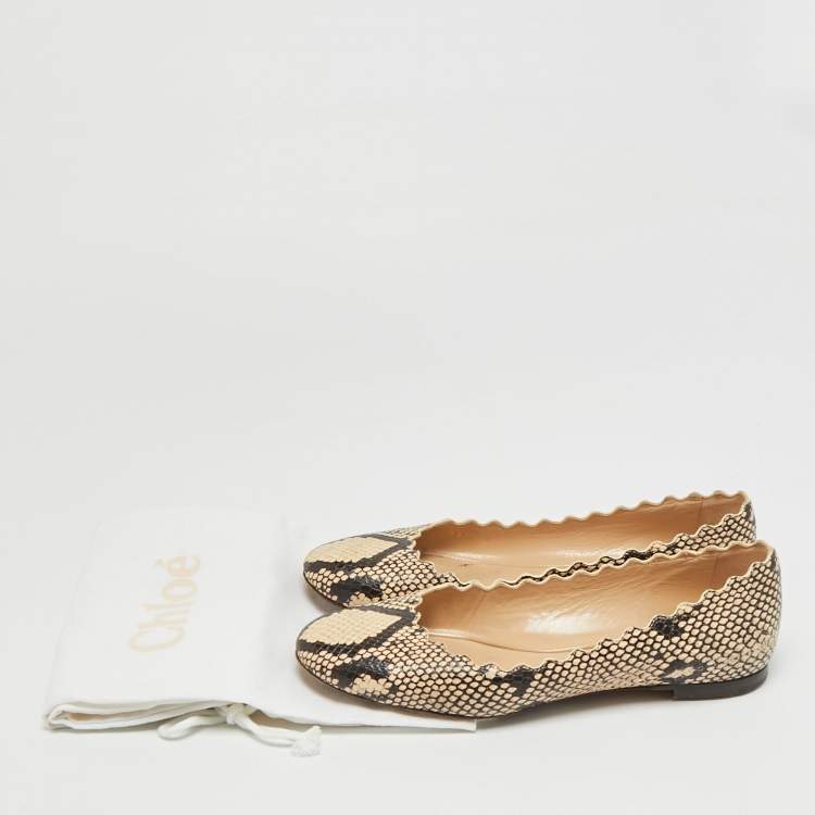 Pre Owned Chloé Lauren Scalloped  Size 35.5 Beige/Biege Python Embossed Leather Ballet Flats