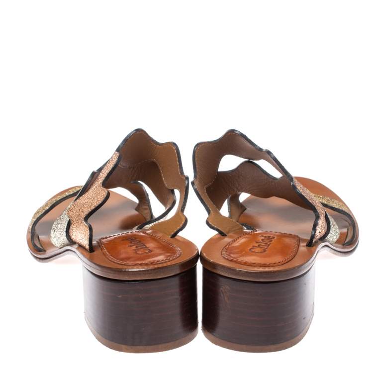 Pre Owned Chloe Multicolor Leather Lauren Slide Sandals Size 36