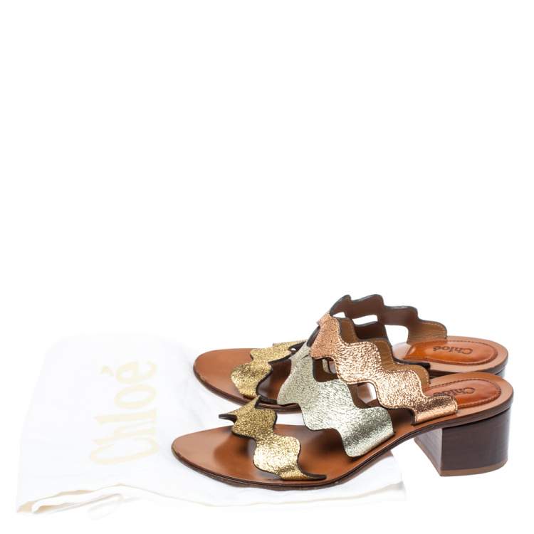 Pre Owned Chloe Multicolor Leather Lauren Slide Sandals Size 36
