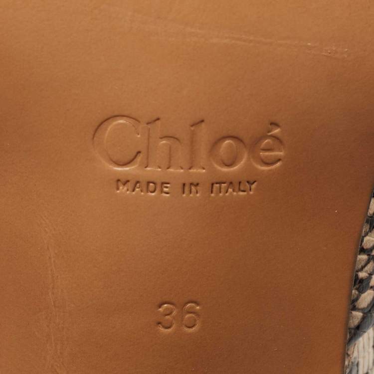 Pre Owned Chloe Brown/Black Python Embossed Leather Rylee Ankle Boots Size 36
