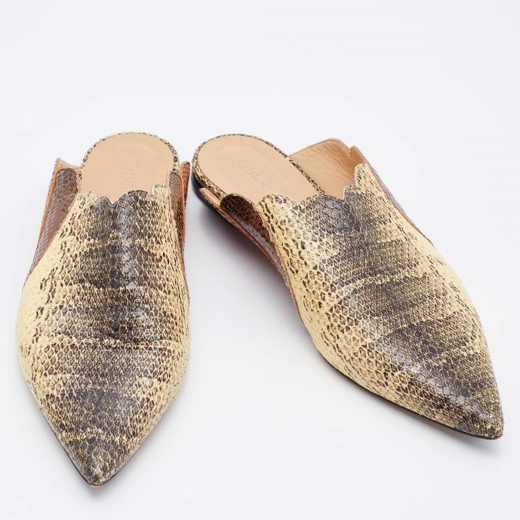 مملوكة مسبقًا Chloe Multicolor Python Embossed Leather Mule Sandals Size 39