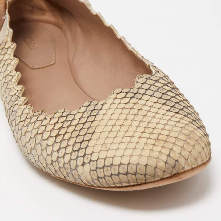 Pre Owned Chloe Cream/Brown Python Scalloped Accent Ballet Flats Size 38