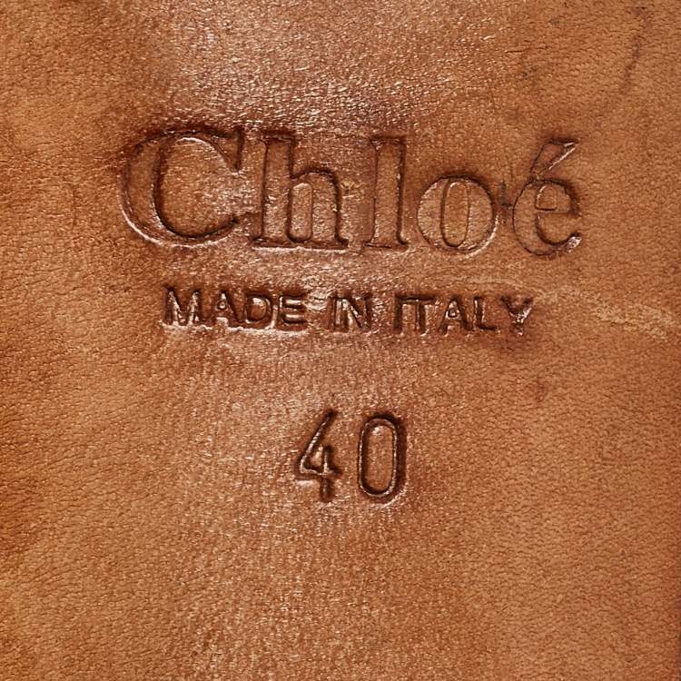 Pre Owned Chloe Metallic Python Leather Pointed Toe Pumps Size 40