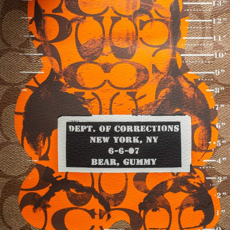 Pre Owned Coach Brown/Black Leather And Signature Coated Canvas City Backpack