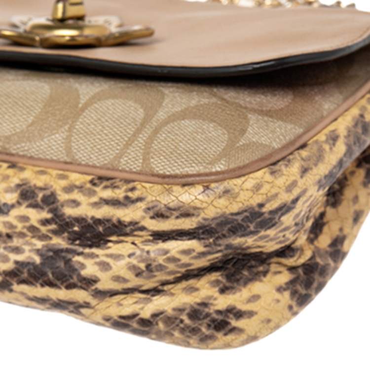 مملوكة مسبقًا Coach Multicolor Signature Canvas, Snakeskin Embossed Leather, And Leather Mini Cassidy Shoulder Bag