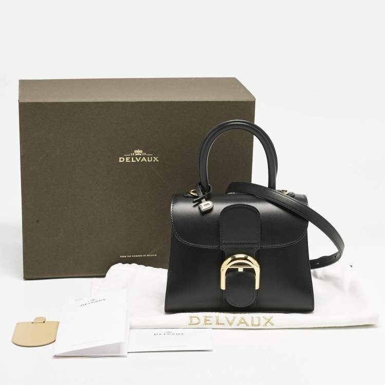 Pre Owned Delvaux Black Leather Mini Le Brillant Top Handle Bag