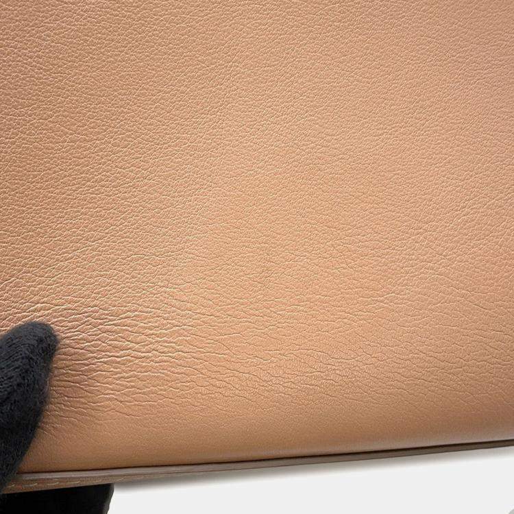 Pre Owned Delvaux Tempe MM Beige Leather Handbag