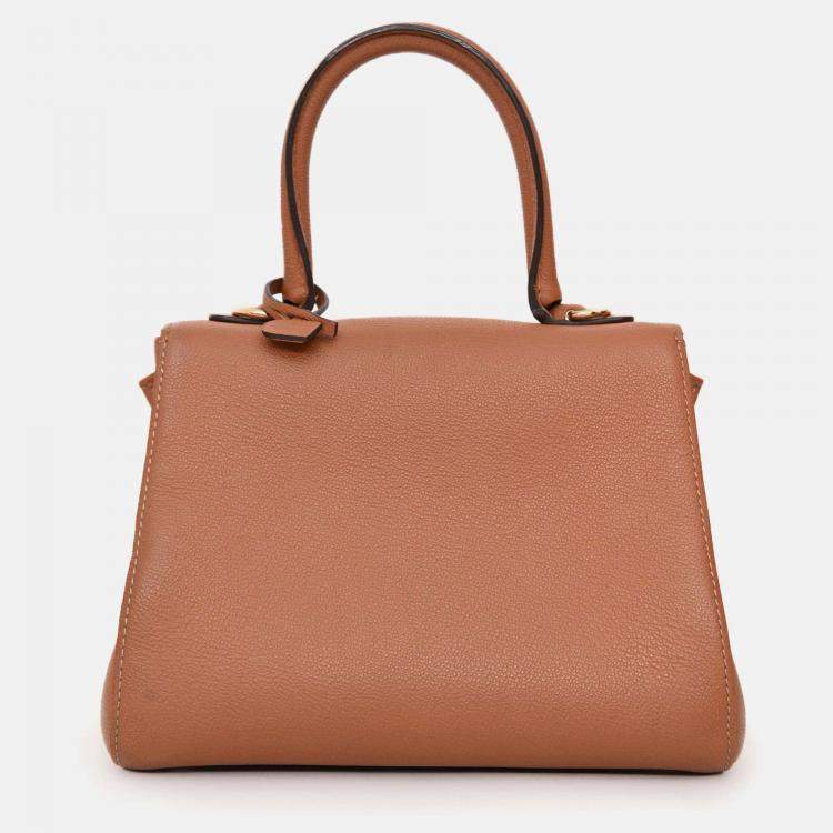 Pre Owned Delvaux Brown Calf Leather Brillant Mini Bag GHW with Strap