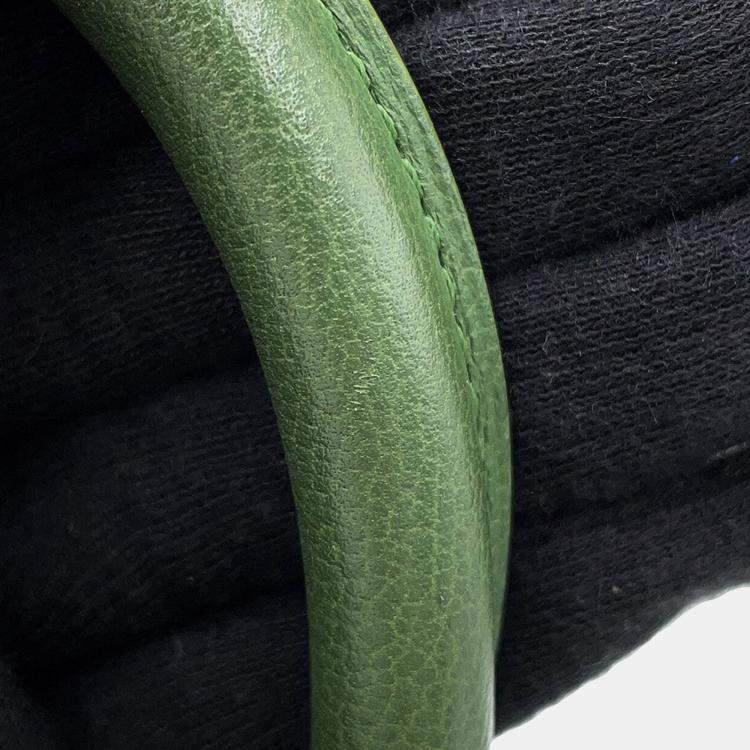 مملوكة مسبقًا Delvaux Brillon 2Way Handbag Green Leather Size Mini