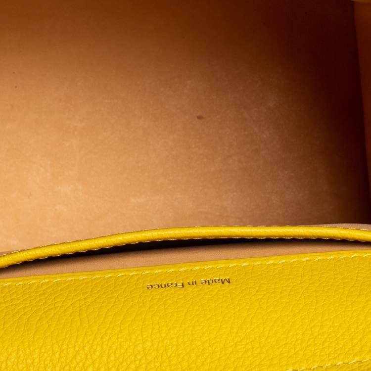 Pre Owned Delvaux Yellow Leather Mini Le Brillant Top Handle Bag