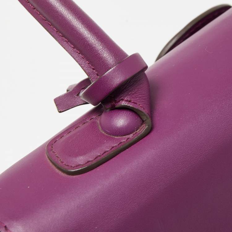 Pre Owned Delvaux Purple Leather Brillant MM Top Handle Bag