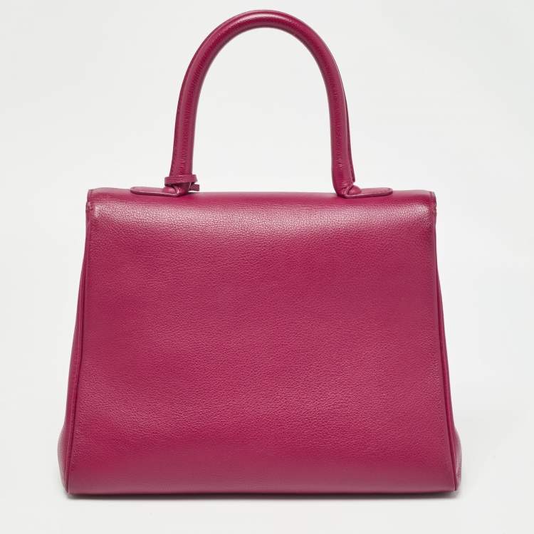 Pre Owned Delvaux Berry Leather Brillant Sellier MM Top Handle Bag