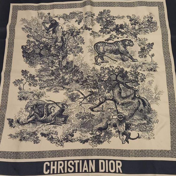 مملوكة مسبقًا Dior Beige/Navy Blue Silk Scarf