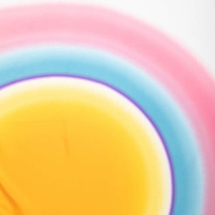 Pre Owned Dior Multicolor Eclpise Silk Scarf