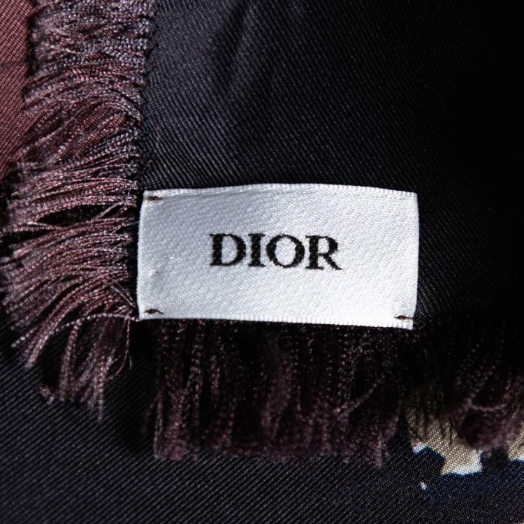 مملوكة مسبقًا Christian Dior Bicolor Oblique Silk Scarf