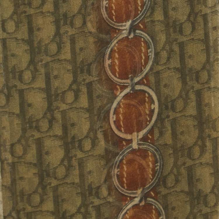 Pre Owned Dior Green Oblique Chain Print Silk Stole
