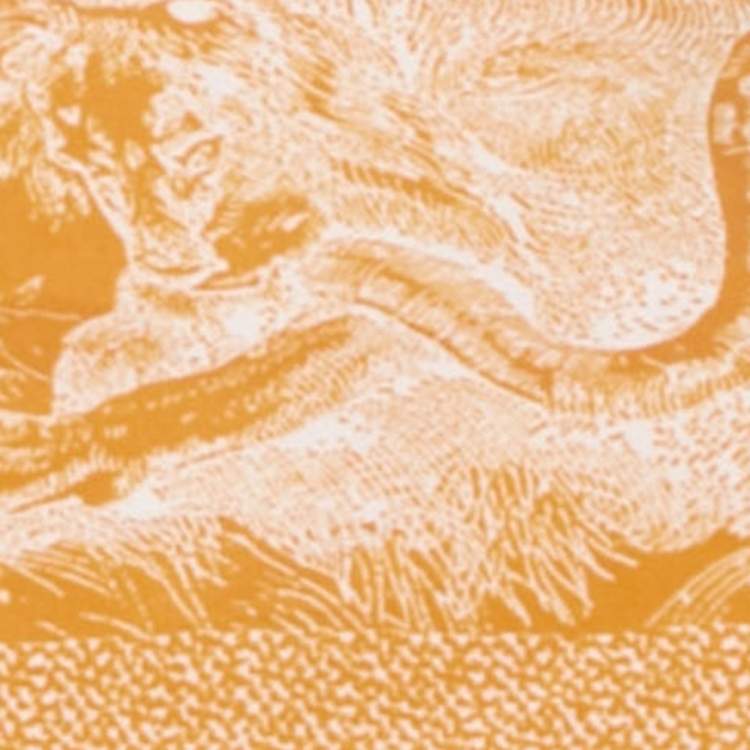 Pre Owned ديور برتقالي Toile de Jouy جيرسي بيكيني طقم صغير جداً