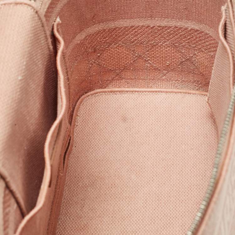 Pre Owned Dior Light Pink Canvas D Lite Vanity Case Bag