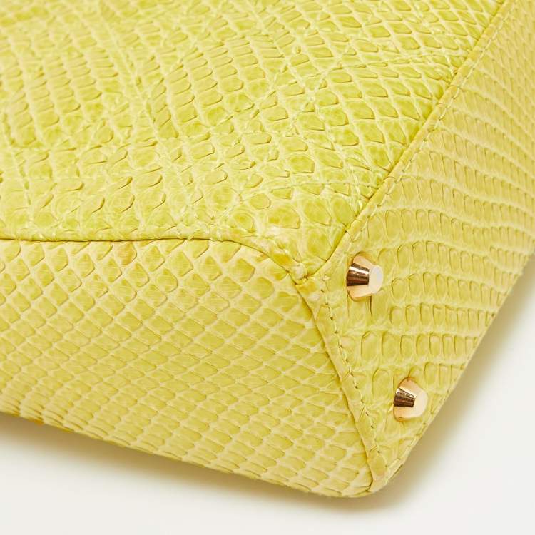 Pre Owned Dior Yellow Python Mini Lady Dior Tote