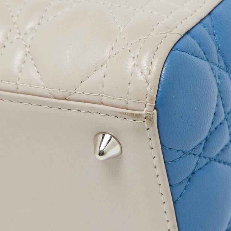 Pre Owned Dior Multicolor Cannage Leather Medium Lady Dior Tote
