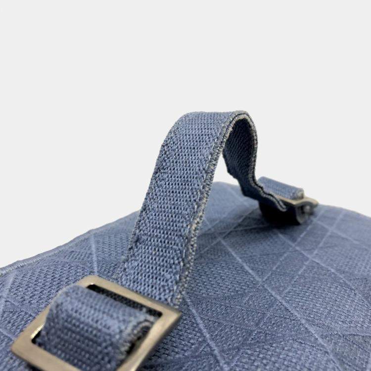 Pre Owned Dior blue Embroidery Vanity bag