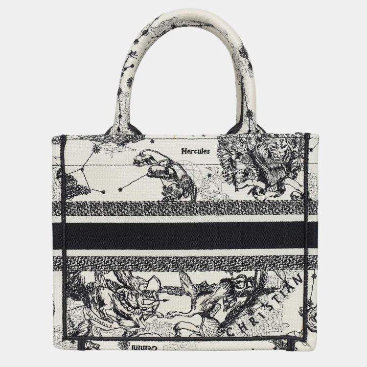 Pre Owned Christian Dior Book Tote Bag