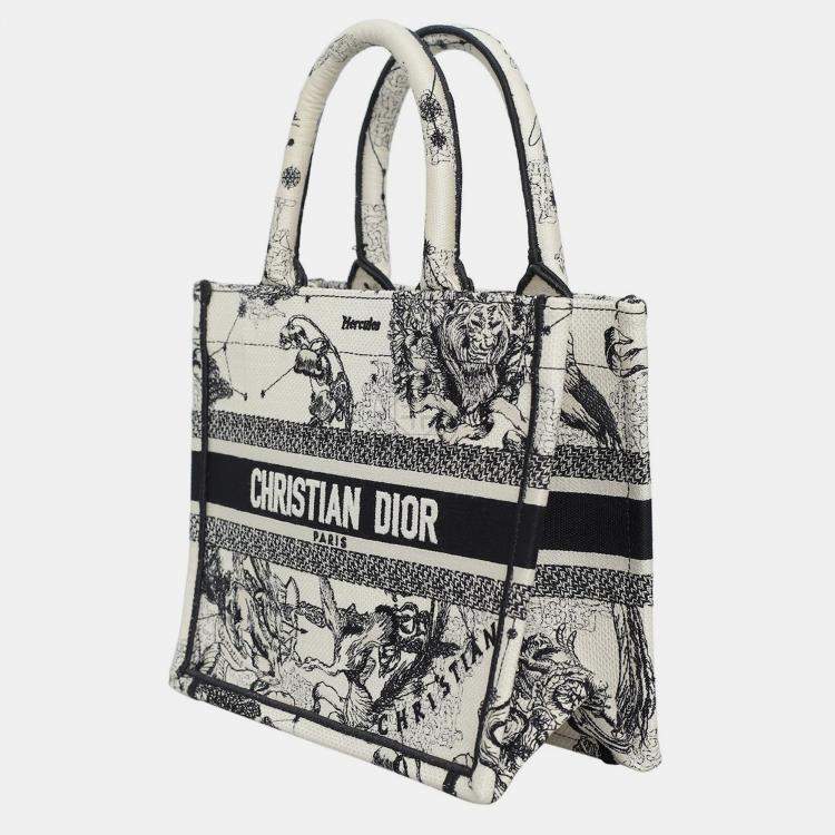 Pre Owned Christian Dior Book Tote Bag
