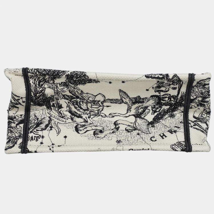 Pre Owned Christian Dior Book Tote Bag