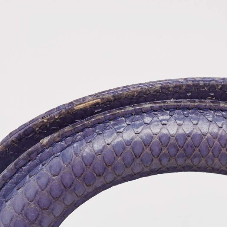 Pre Owned Dior Blue Python Mini Lady Dior Tote