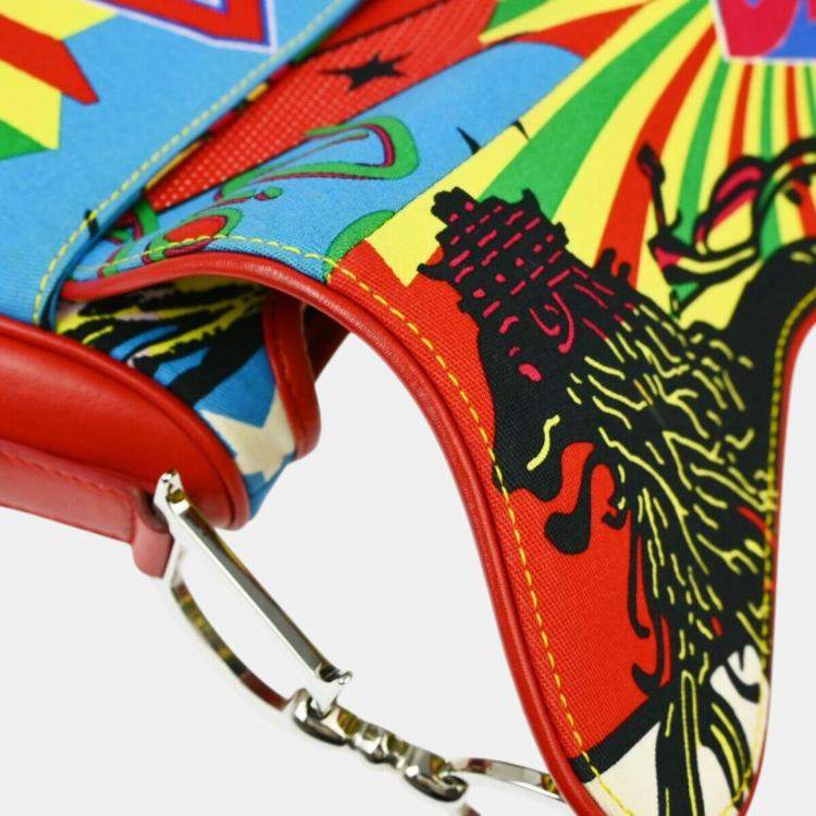 Pre Owned Christian Dior Multicolor Dior Mania Saddle Handbag