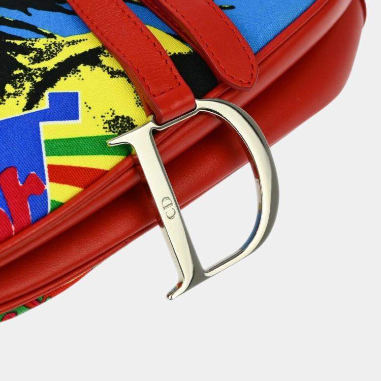 Pre Owned Christian Dior Multicolor Dior Mania Saddle Handbag