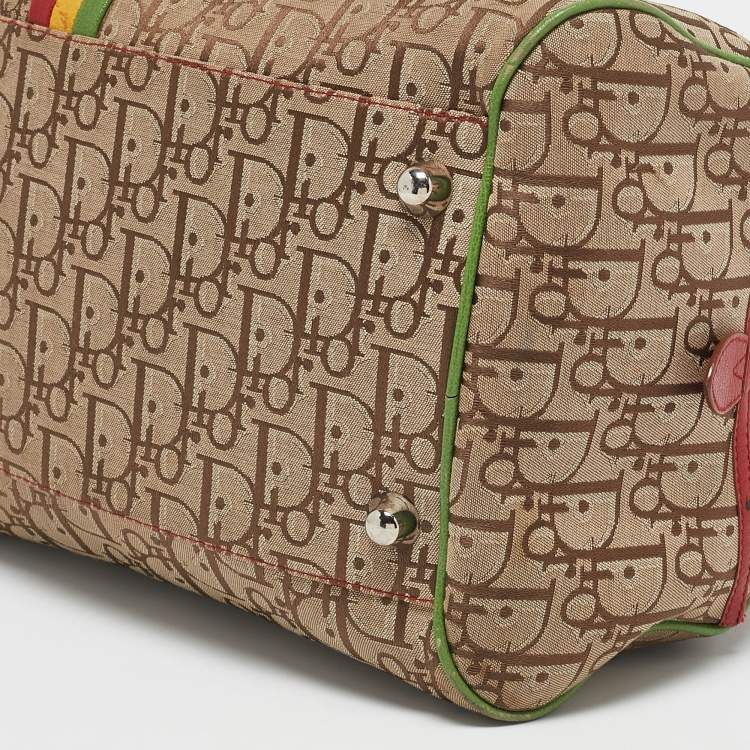 Pre Owned Dior Multicolor Oblique Canvas and Leather Trotter Rasta Bowler Bag