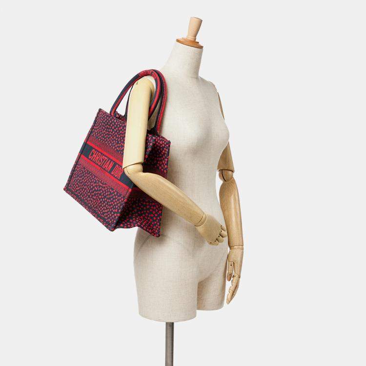 Pre Owned Dior Red Medium Canvas Pop Hearts I Love Paris Book Tote