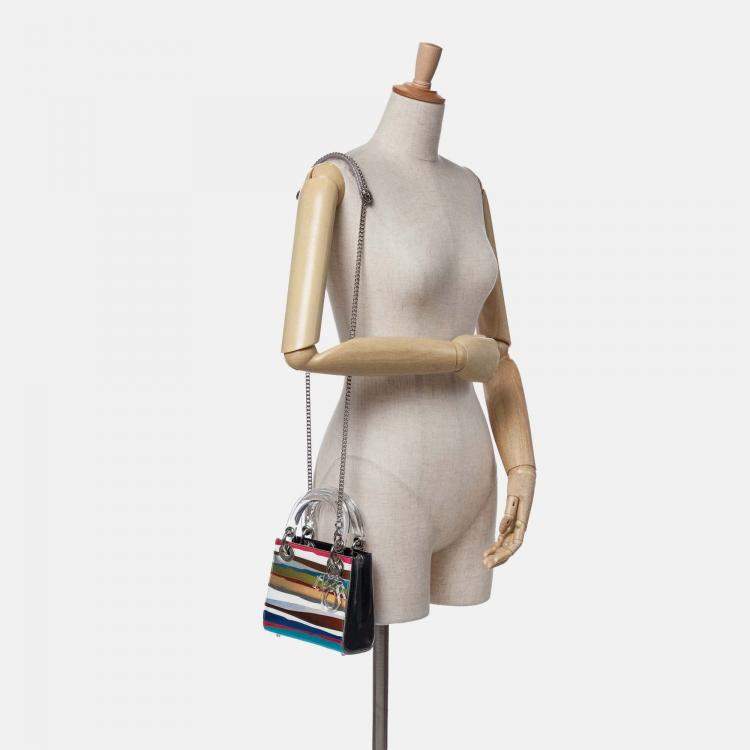 مملوكة مسبقًا Dior Multicolor Wang Guangle Mini PVC Technical Fabric Lady Dior