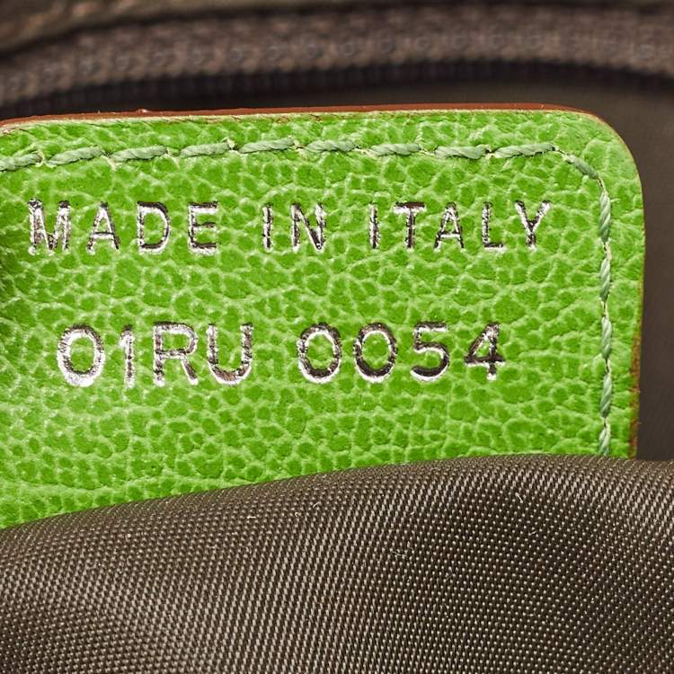 Pre Owned Dior Beige/Multicolor Canvas Diorissimo Rasta Trotter Saddle Bag