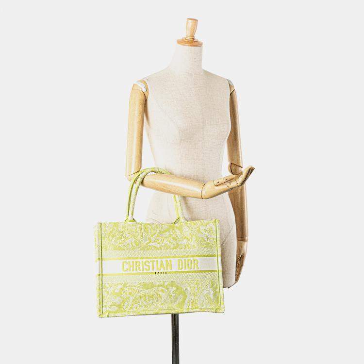 Pre Owned Dior Green Medium Canvas Embroidered Dioriviera Toile De Jouy Book Tote