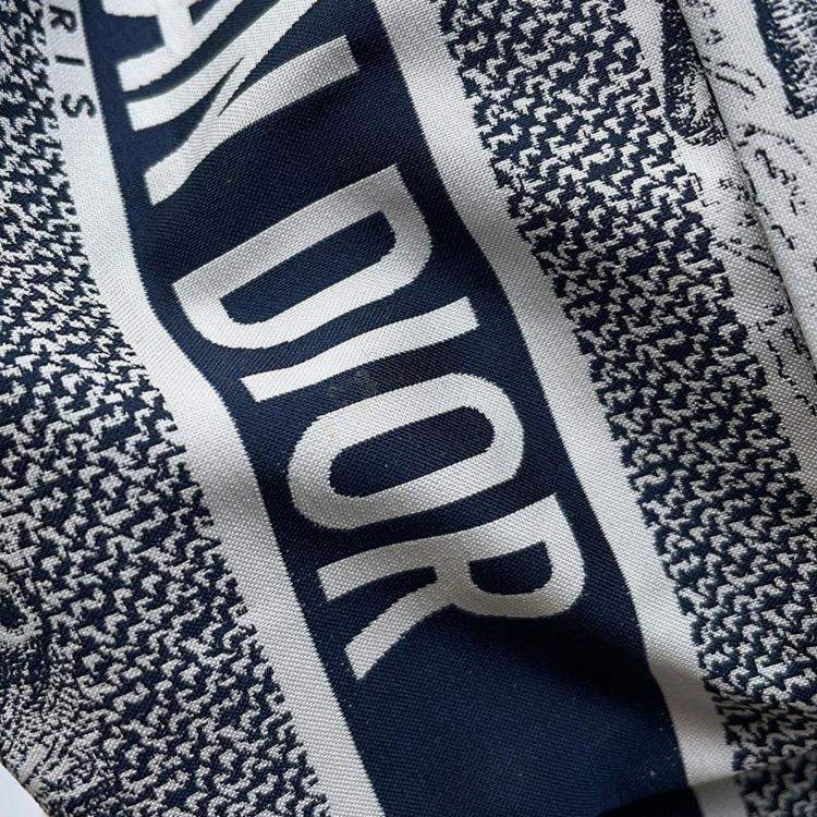 Pre Owned Dior Dior Travel Small White/Navy Nylon Backpack
