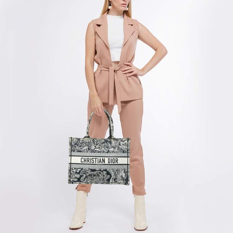 Pre Owned Dior Blue/Beige Embroidered Toile de Jouy Canvas Medium Book Tote 