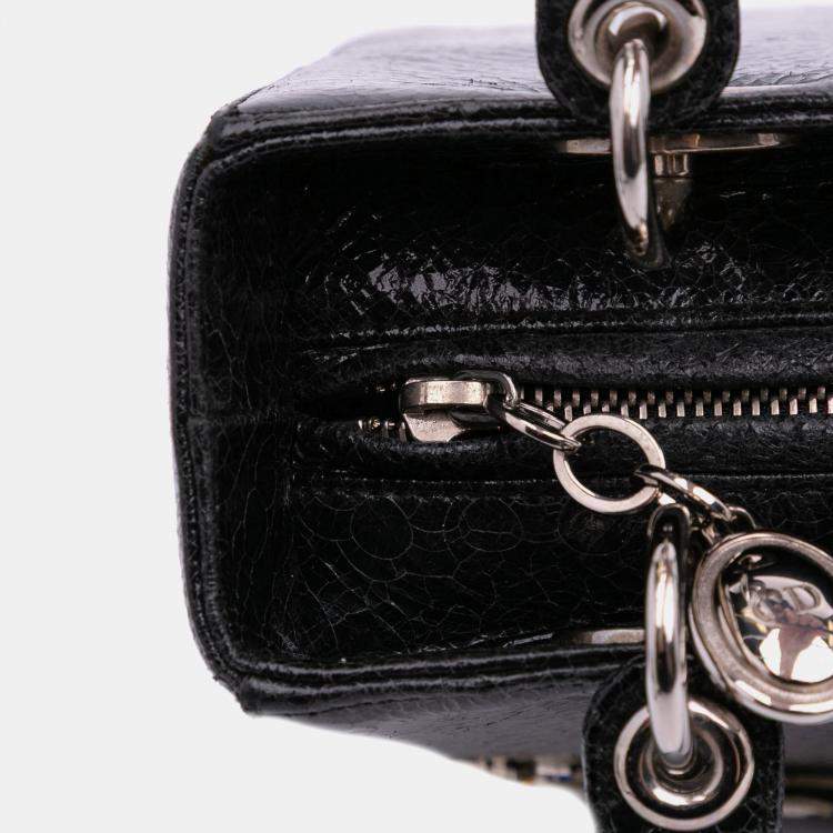 Pre Owned Dior Black Medium Ceramic Effect Deerskin Jeweled Swan Lady Dior