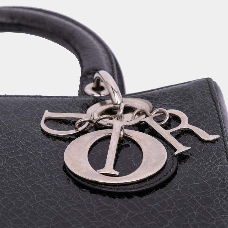 Pre Owned Dior Black Medium Ceramic Effect Deerskin Jeweled Swan Lady Dior
