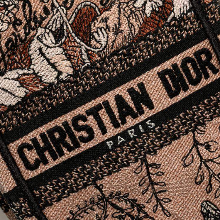 Pre Owned Dior Pink Mini Embroidered Canvas Jardin Magique Vertical Book Tote