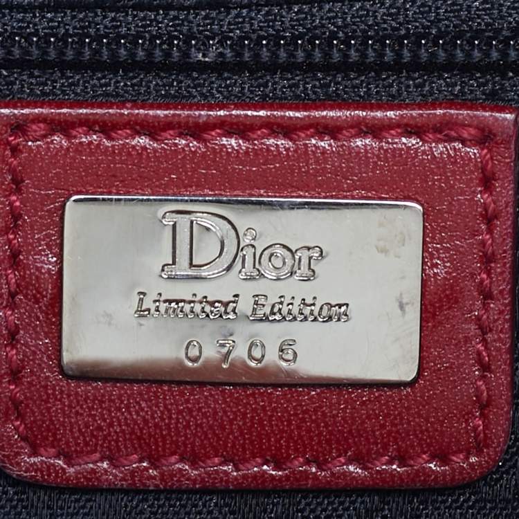 Pre Owned Dior Multicolor Fabric Limited Edition 0706 Saddle Bag