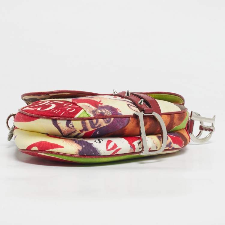 Pre Owned Dior Multicolor Fabric Limited Edition 0706 Saddle Bag