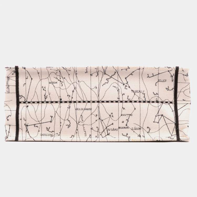 Pre Owned Dior Multicolor Large Embroidered Canvas Zodiac Book Tote